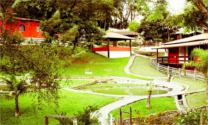 Sitio